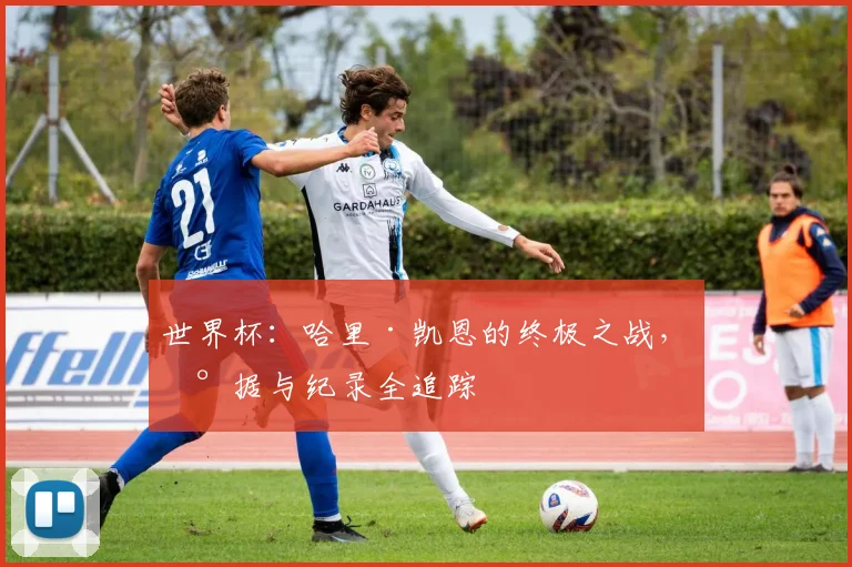 世界杯：哈里·凯恩的终极之战，数据与纪录全追踪